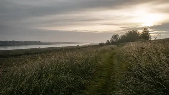 Ruhiger Weg durch die niederrheinische Landschaft